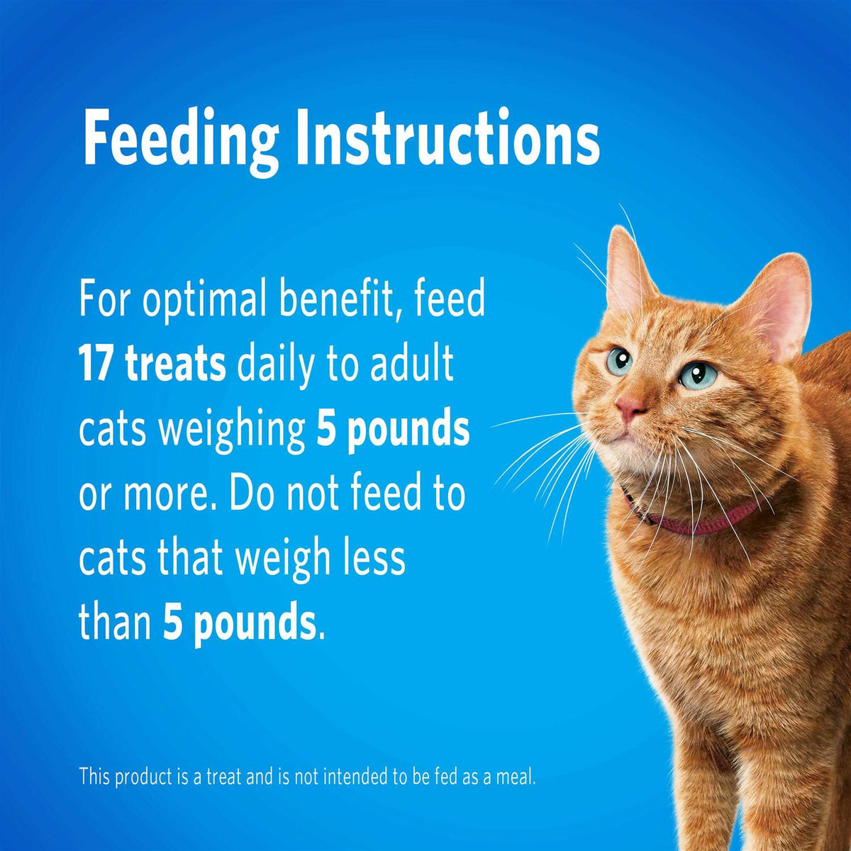 Cat Dental Treats W475