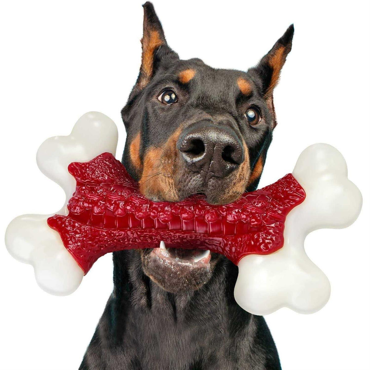 Tough Dog Toys for Aggressive Chewers Large Breed I92295