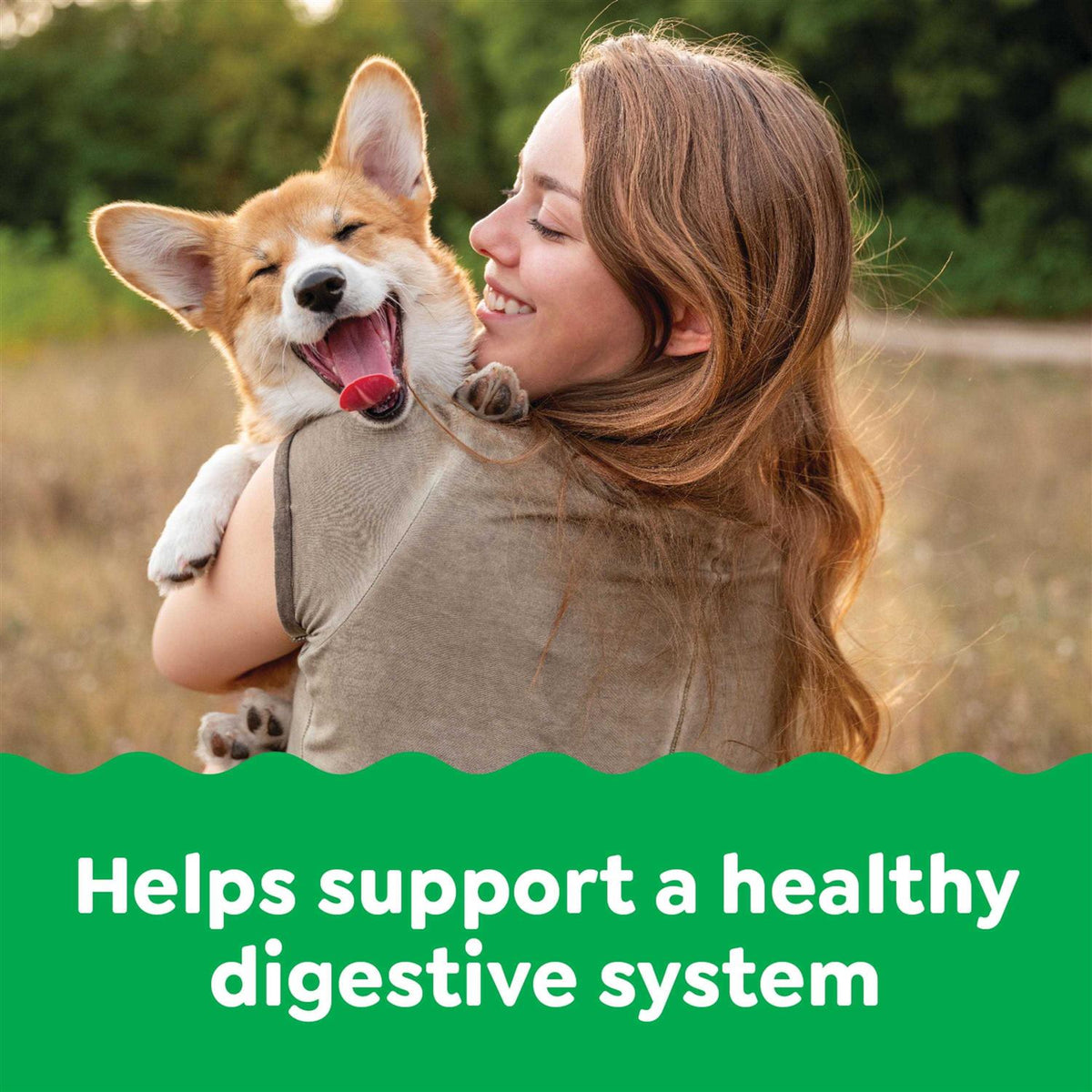 Probiotics Digestive Health Chicken Flavor Dog Supplements T13421
