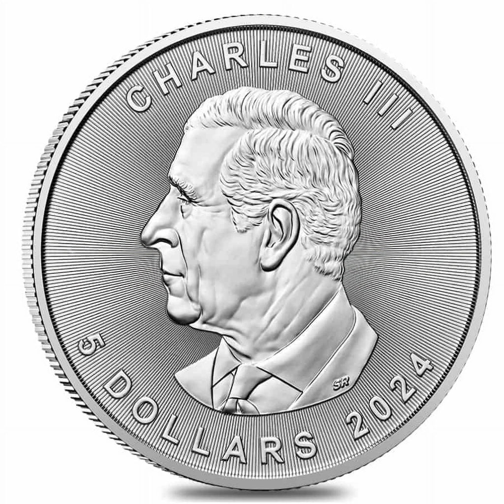 10 oz Canadian Silver Maple Leaf Coin BU Q9263