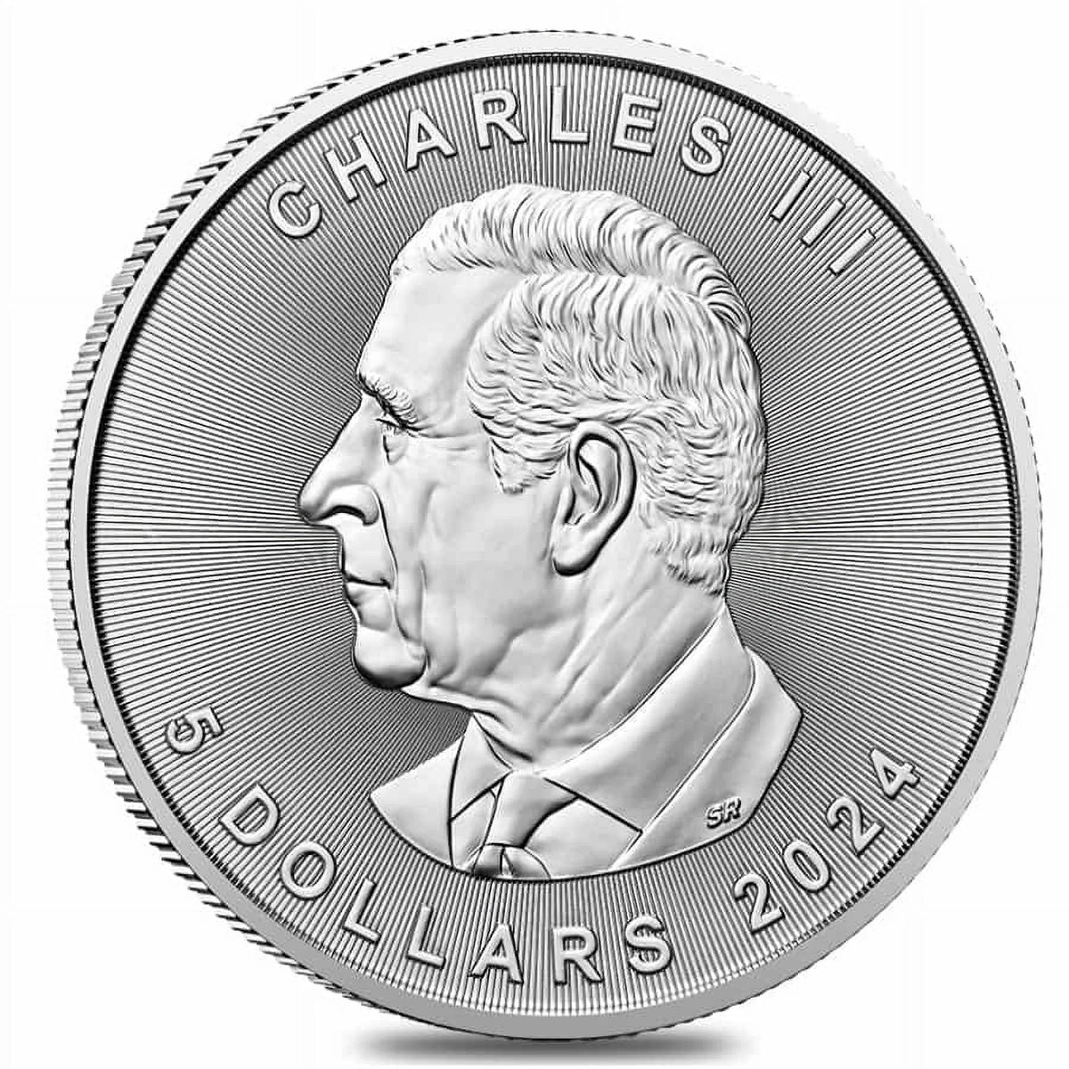 10 oz Canadian Silver Maple Leaf Coin BU Q9263