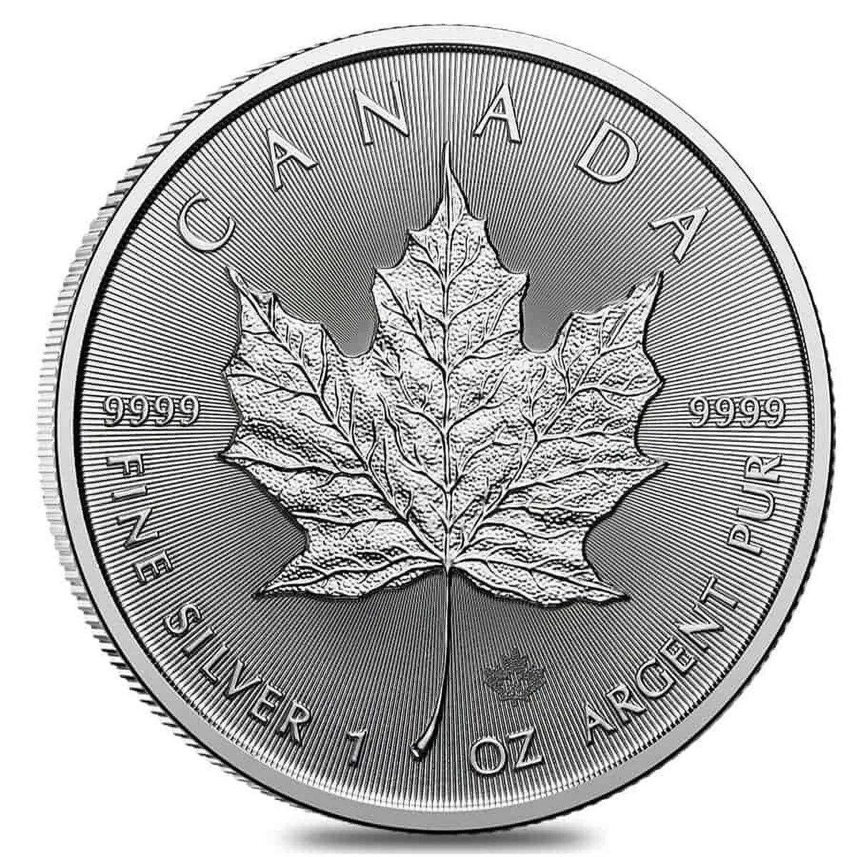 10 oz Canadian Silver Maple Leaf Coin BU Q9263