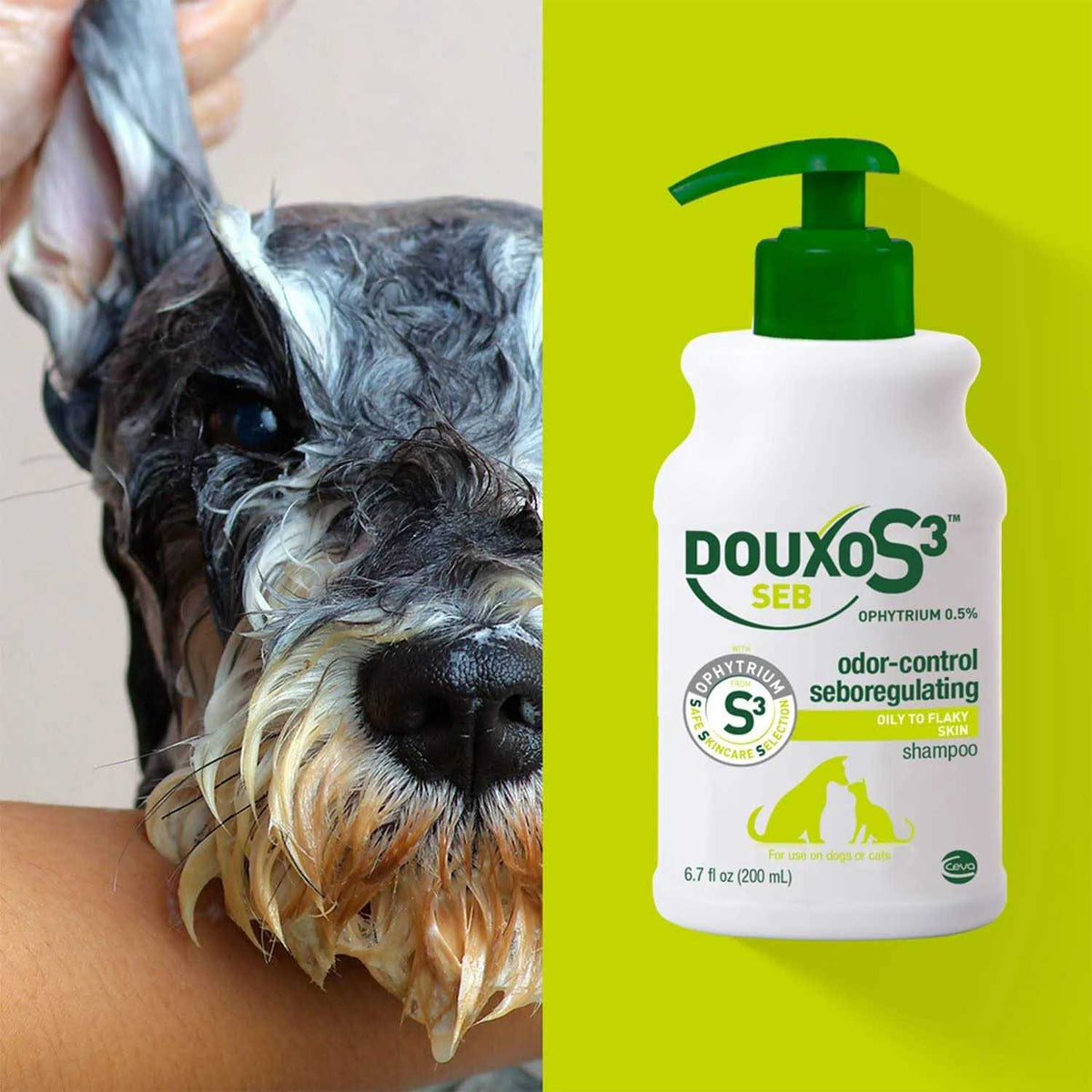 Douxo S3 SEB Shampoo N80538