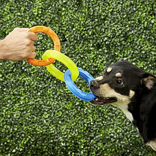 10.5in Rubber 3-Ring Tug Dog Toy, Blue/Green/Orange R177