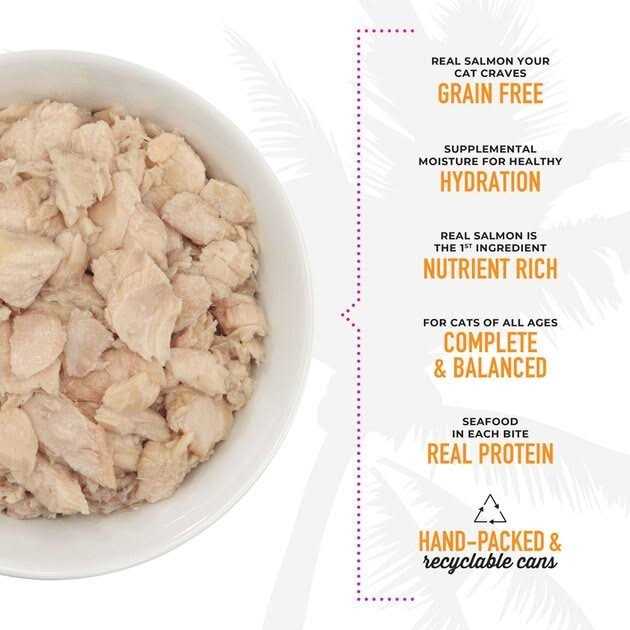 Wild Salmon Cat Food B2627
