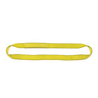 1 Ply 12x22 x 19& Endless Polyester Web Sling B827