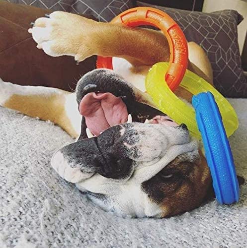 10.5in Rubber 3-Ring Tug Dog Toy, Blue/Green/Orange R177