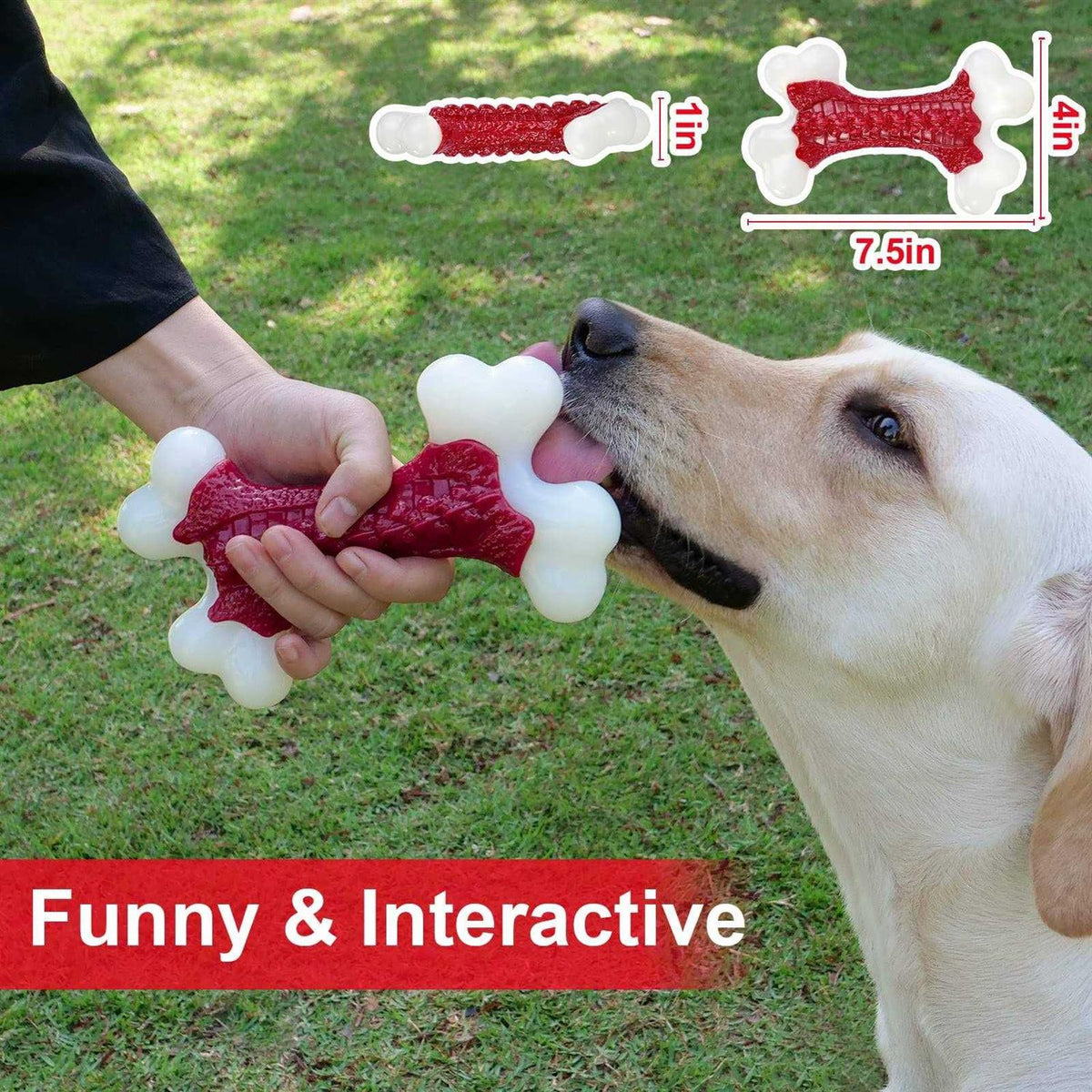 Tough Dog Toys for Aggressive Chewers Large Breed I92295