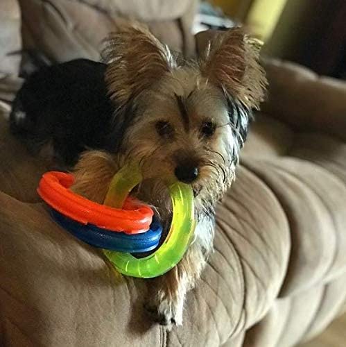 10.5in Rubber 3-Ring Tug Dog Toy, Blue/Green/Orange R177