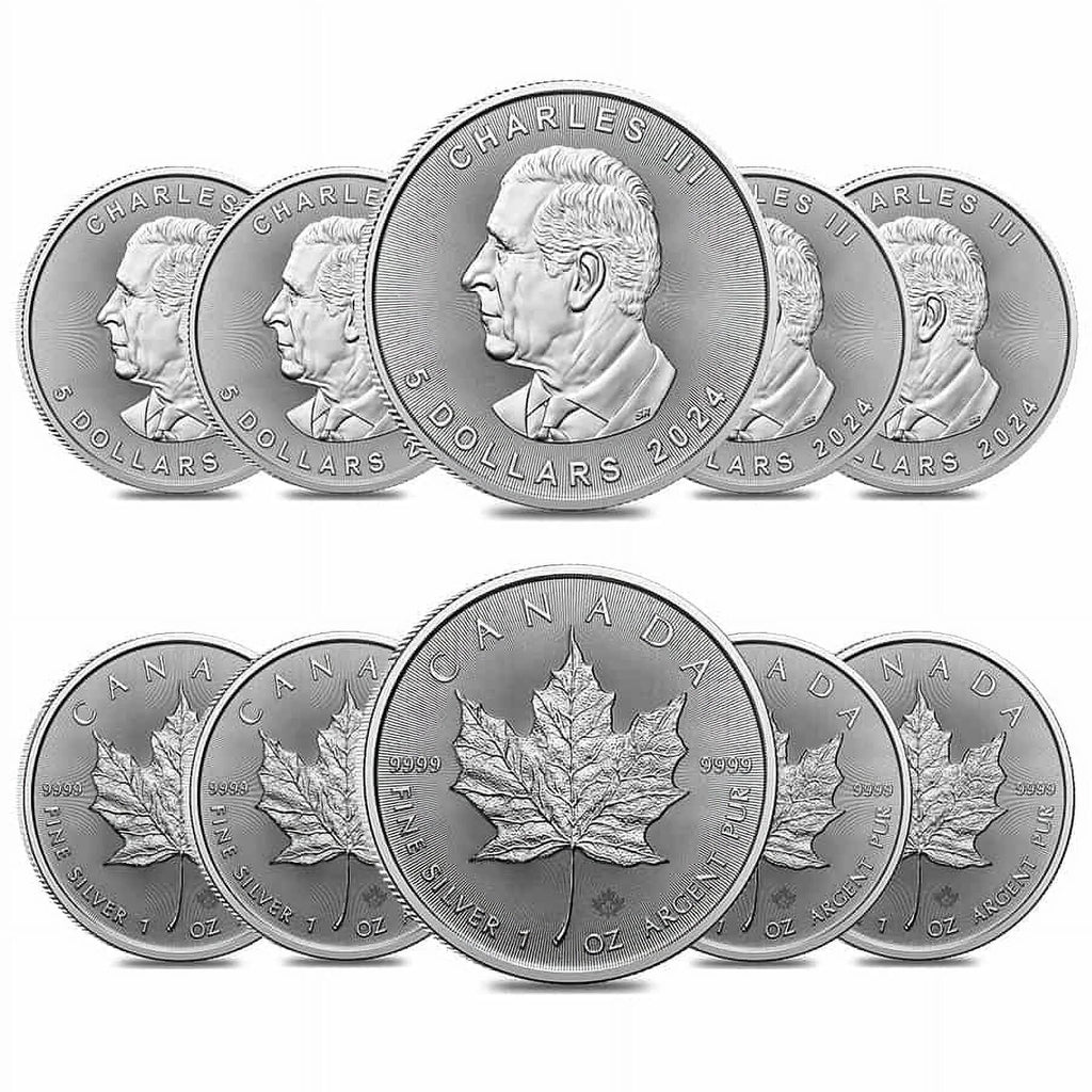 10 oz Canadian Silver Maple Leaf Coin BU Q9263