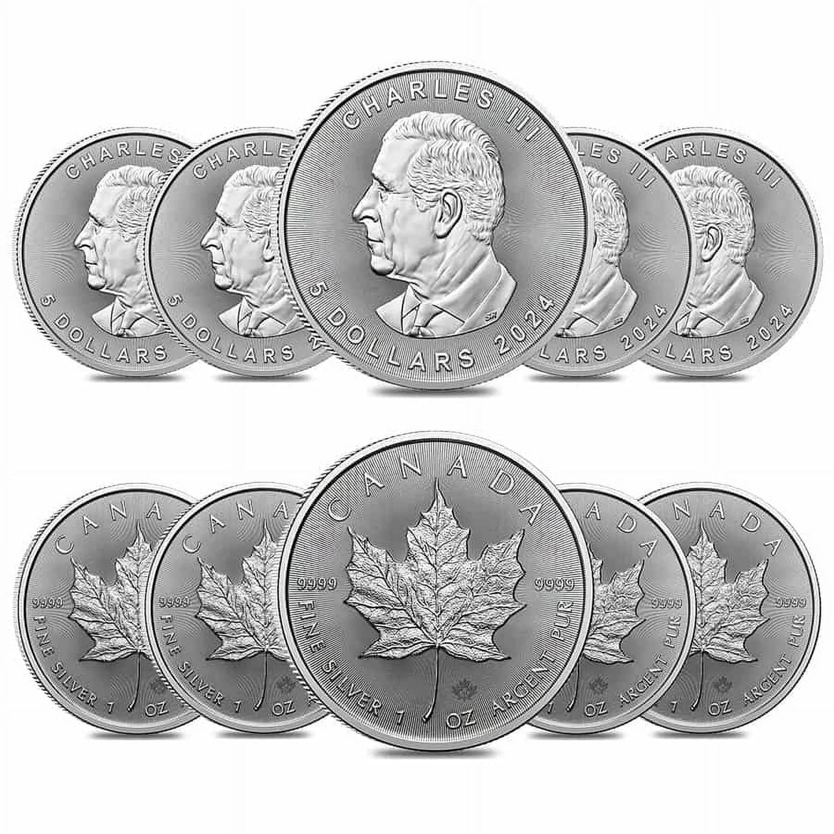 10 oz Canadian Silver Maple Leaf Coin BU Q9263
