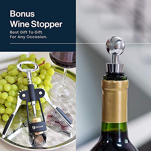 Wine Opener Wing Corkscrew Bottle Opener R239061
