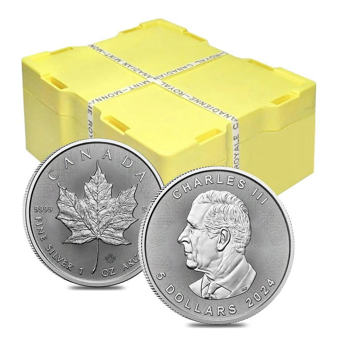 10 oz Canadian Silver Maple Leaf Coin BU Q9263
