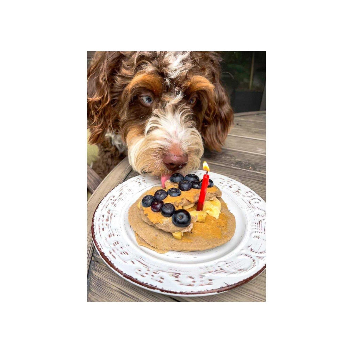 Pooch Pancakes Pet Supplies W492259