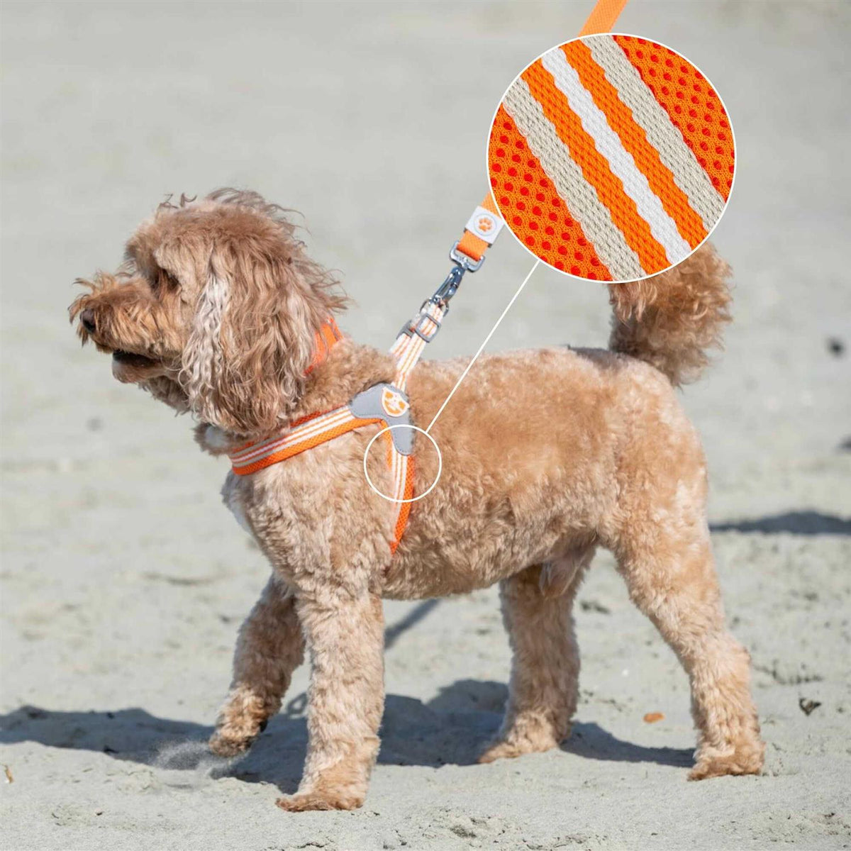 Dog Harness N437