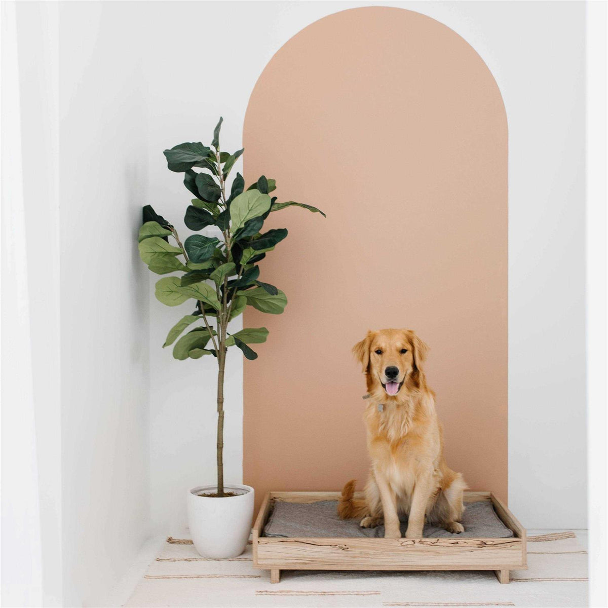 Pet Bed Frame D738