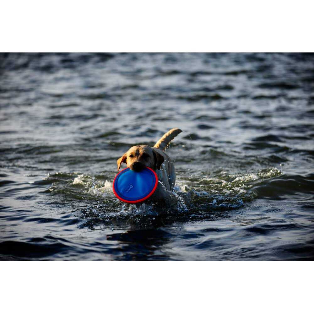 Dog Toy R52800
