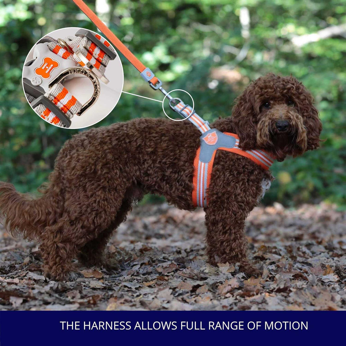 Dog Harness N437